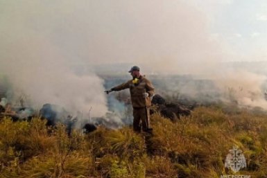 Лесной пожар в Якутии ликвидировали Пресс-служба МЧС по Якутии