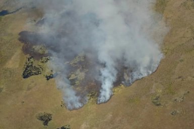 Огнеборцы локализовали крупный лесной пожар в Усть-Алданском районе Якутии Министерство экологии, природопользования и лесного хозяйства