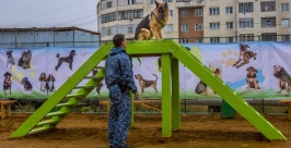 Первая специализированная площадка для собак появилась в Якутске Пресс-служба ОА г. Якутск