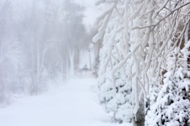 До -29° и метели: синоптики предупредили о похолодании в Якутии Евгений  Кулешов, ИА PrimaMedia