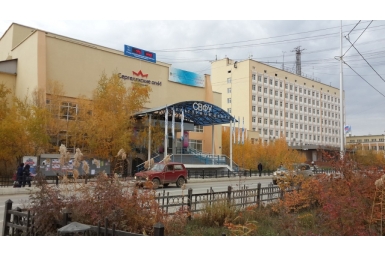 Кастинг чтецов проекта &quotЧехов жив&quot пройдет в СВФУ Алена Подковырова, YakutiaMedia