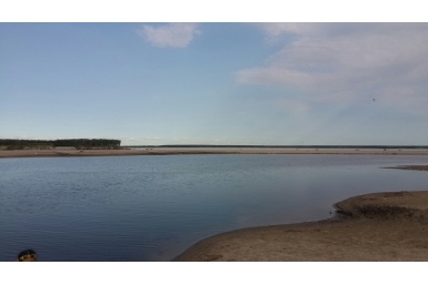 На реке Лене в Якутии наблюдается низкий уровень воды  Алена Подковырова, YakutiaMedia