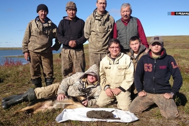 Экспедиция музея мамонта СВФУ обнаружила щенка плейстоценового хищника редакция новостей СВФУ