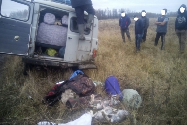 Браконьеры охотились на зайцев в Таттинском районе Якутии Департамент охотничьего хозяйства РС (Я)