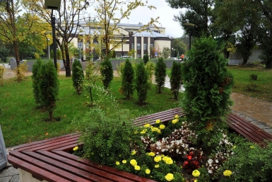 Скамейки в сквере Анкудинова Юрий Гуршал