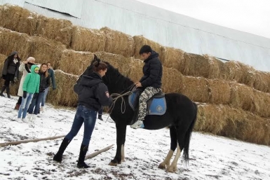 Воспитанники детского дома познакомились с работой полицейских-кавалеристов в Якутске пресс-служба администрации г. Якутска