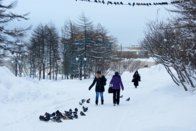 На этой неделе в Якутске температура воздуха в ночные часы опустится до отметки -18° Игорь Чёрный, MagadanMedia