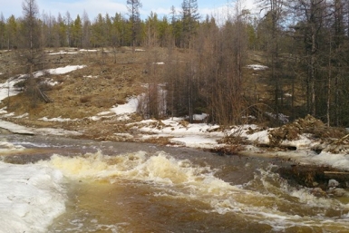 Около 100 тысяч рублей заплатит золотодобывающее предприятие за загрязнение реки в Якутии Sakha.gov.ru