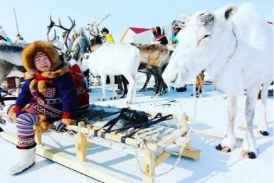 Около 100 территорий традиционного природопользования КМНС создали в Якутии Instagram