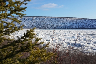 Ледоход Елена Абрамова