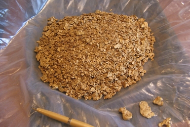 У жителя КНР изъяли золото polyusgold.com