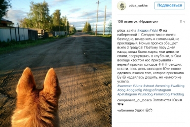 Инстаграм Ptica_sakha