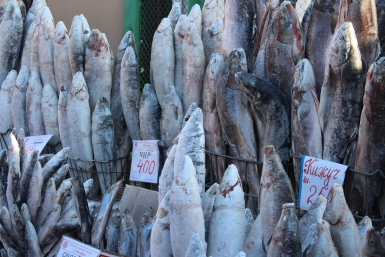 Рыба один из дорогих продуктов Якутии Алена Подковырова